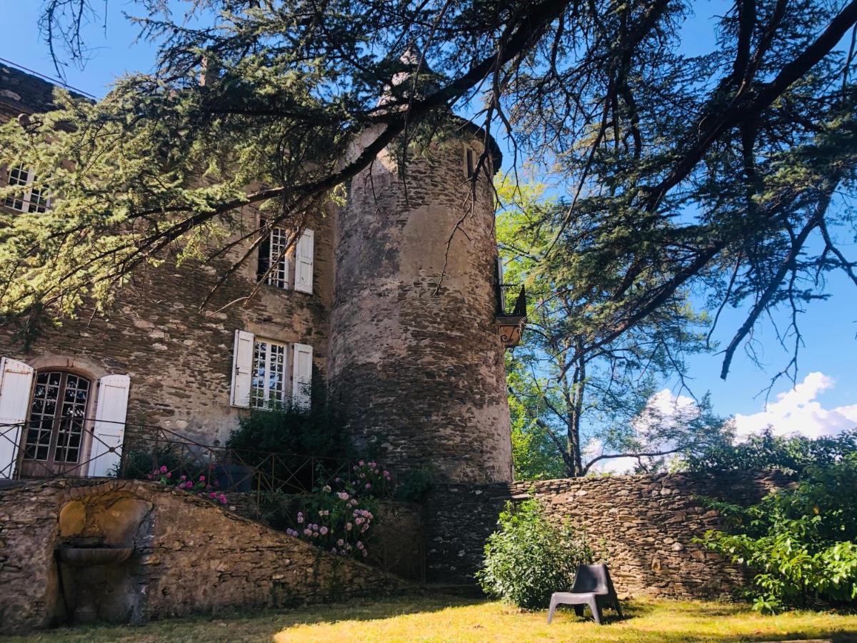 Le Chateau De Cambiaire Saint-Etienne-Vallee-Francaise Exterior photo