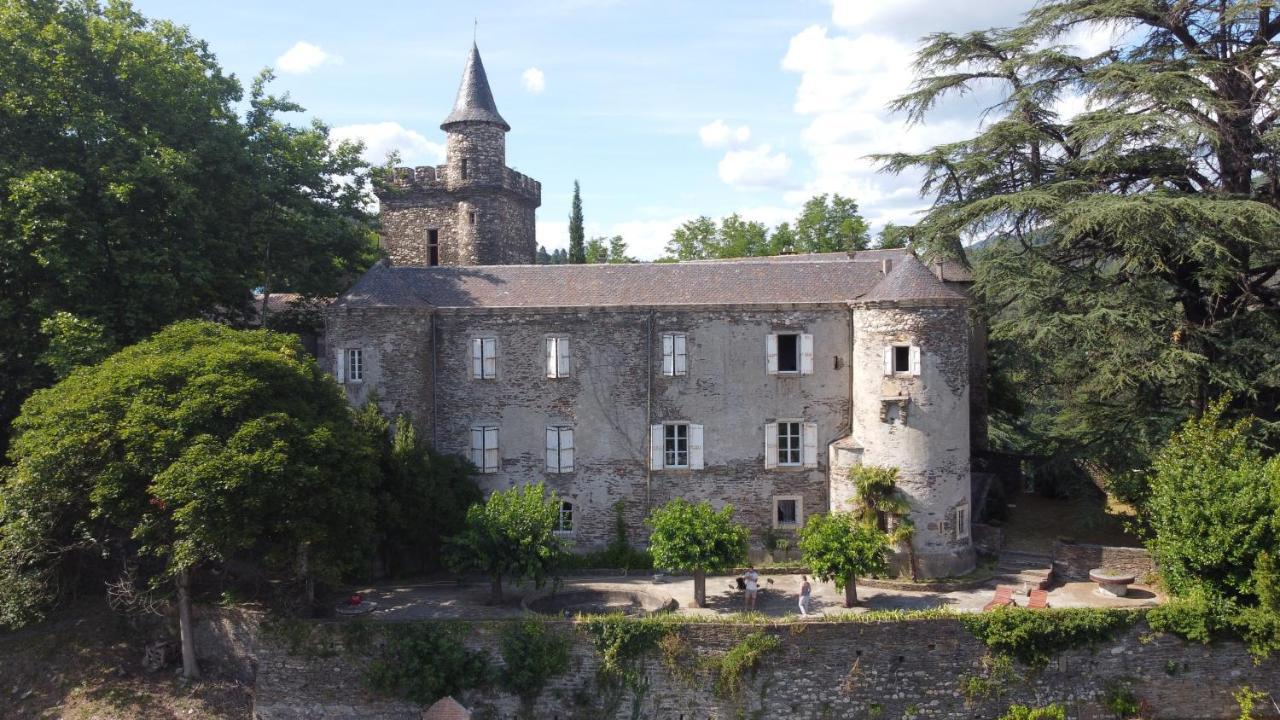 Le Chateau De Cambiaire Saint-Etienne-Vallee-Francaise Exterior photo