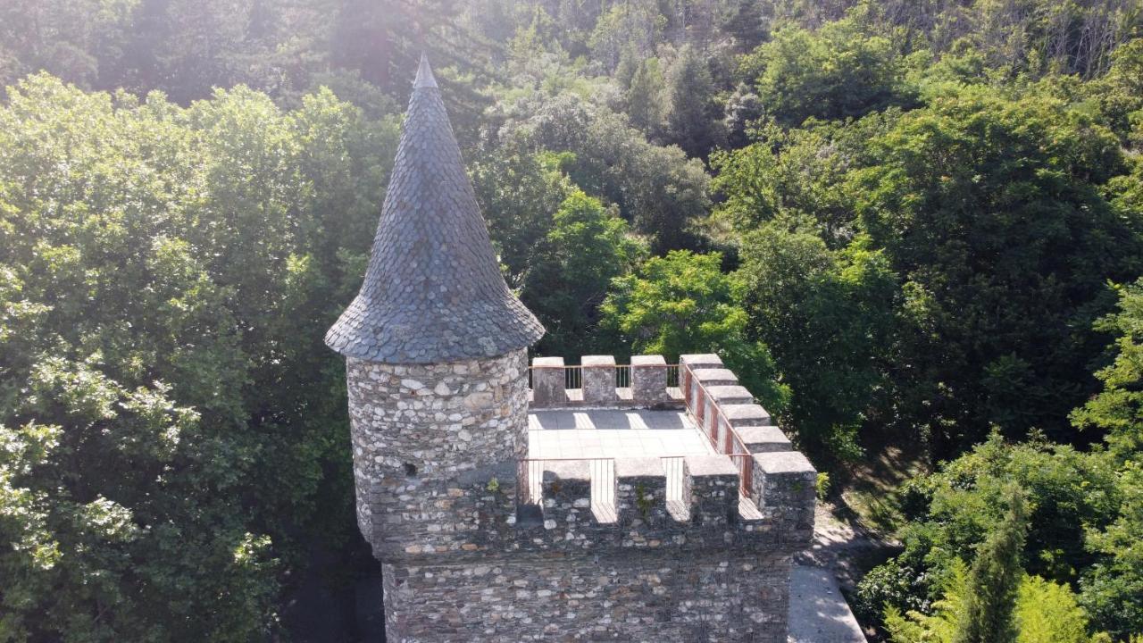 Le Chateau De Cambiaire Saint-Etienne-Vallee-Francaise Exterior photo