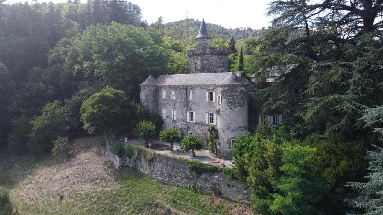 Le Chateau De Cambiaire Saint-Etienne-Vallee-Francaise Exterior photo